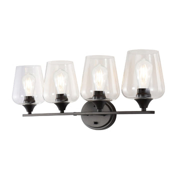 Jayne Iron/Glass Cottage Rustic LED Vanity Light